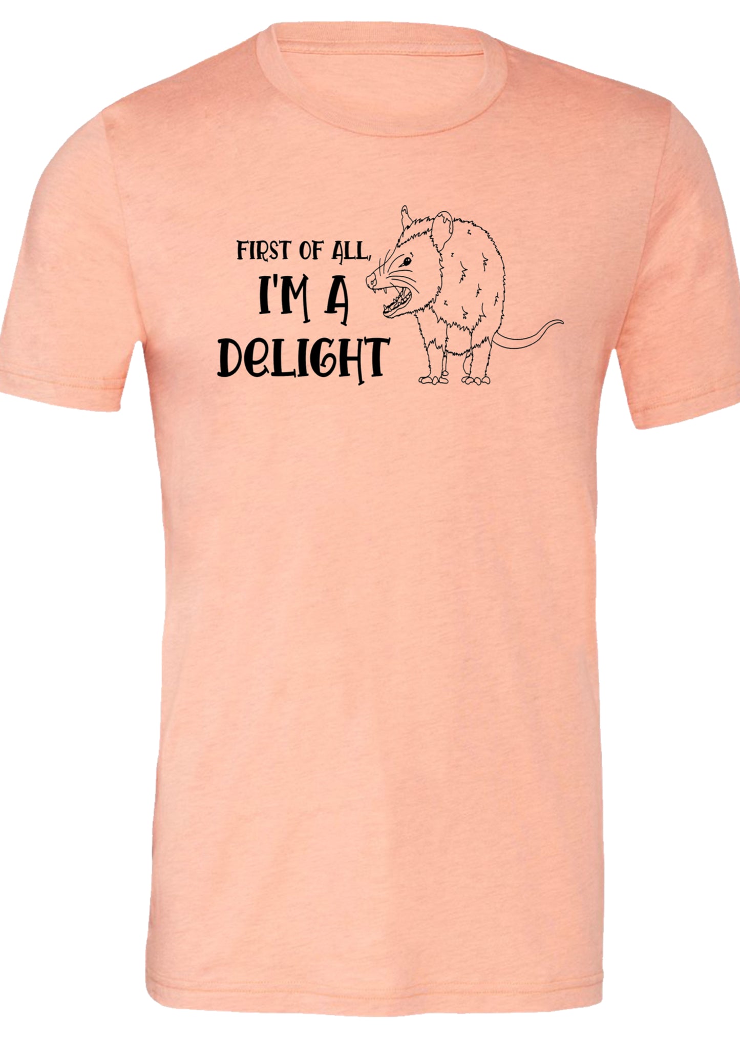 First of All, I’m a Delight Tee